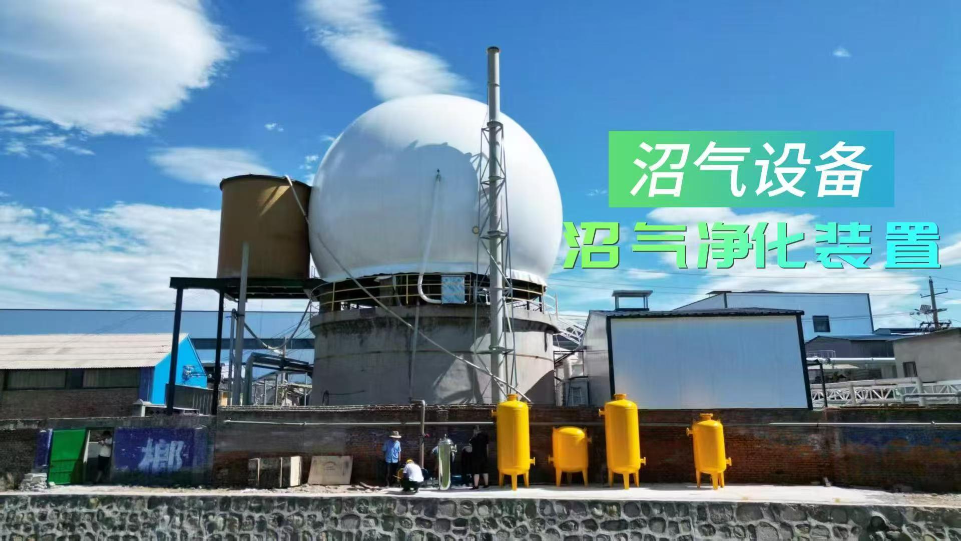临沂沼气处理